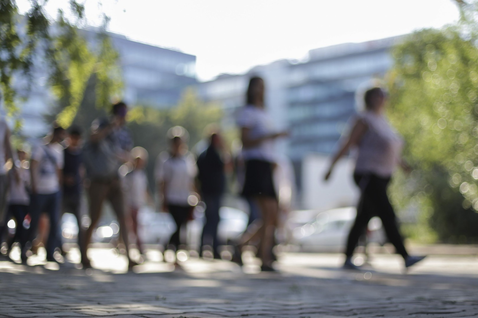 România a fost și în 2025 o țară de imigrare. Populația rezidentă și-a continuat declinul/ Numărul imigranților a fost cu peste 102.000 mai mare decât cel al emigranților