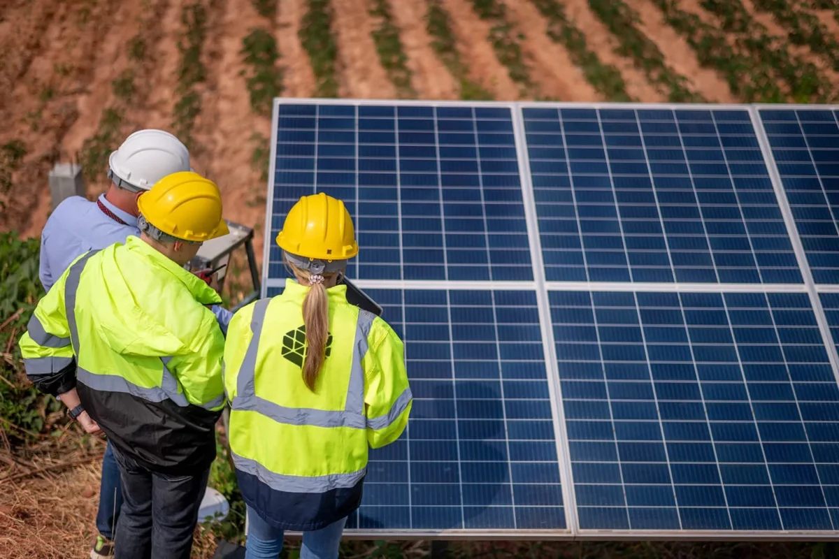 Simtel Italia semnează primele contracte. Proiecte de 15 milioane de lei la două luni de la lansarea filialei