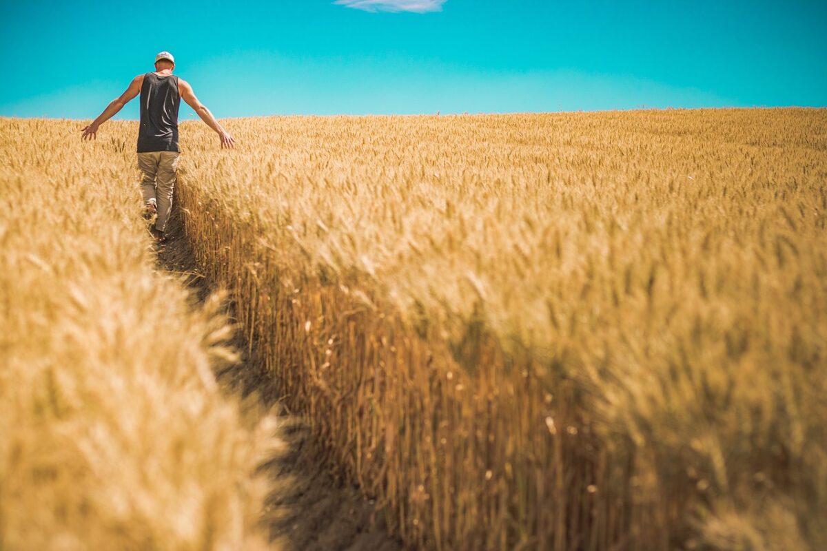 Clubul Fermierilor Români cere ca agricultura să fie prioritate în strategia economică 2028-2034. „România acționează pompieristic” în fața secetei
