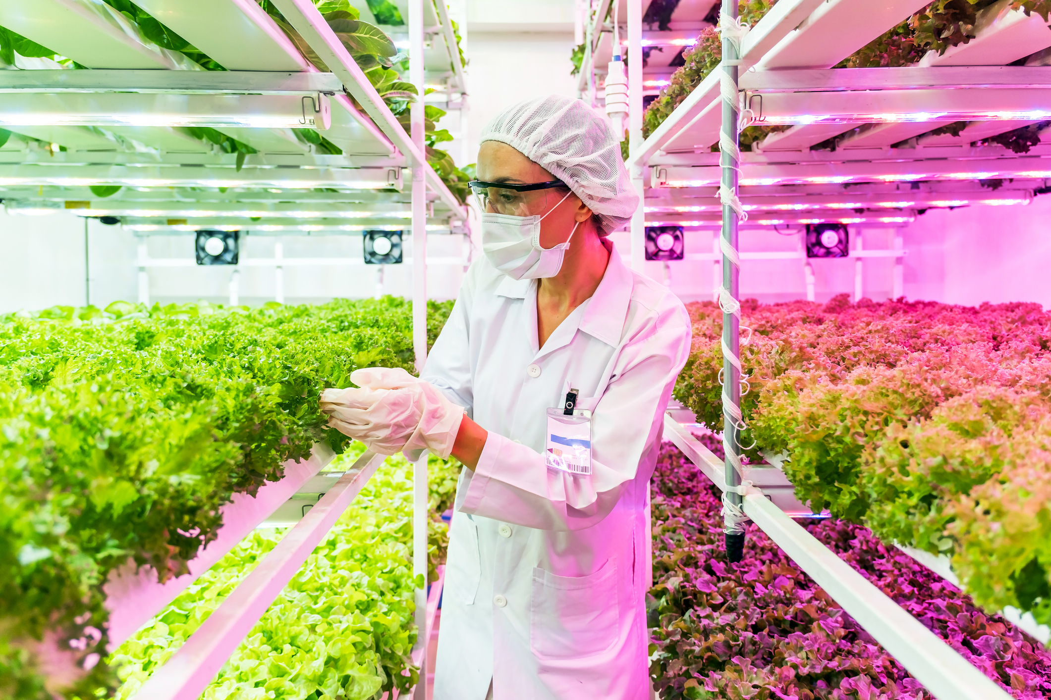 Comisia Europeană lansează o nouă strategie pentru agricultură: Inovațiile trebuie să ajungă mai repede în ferme și pe piață