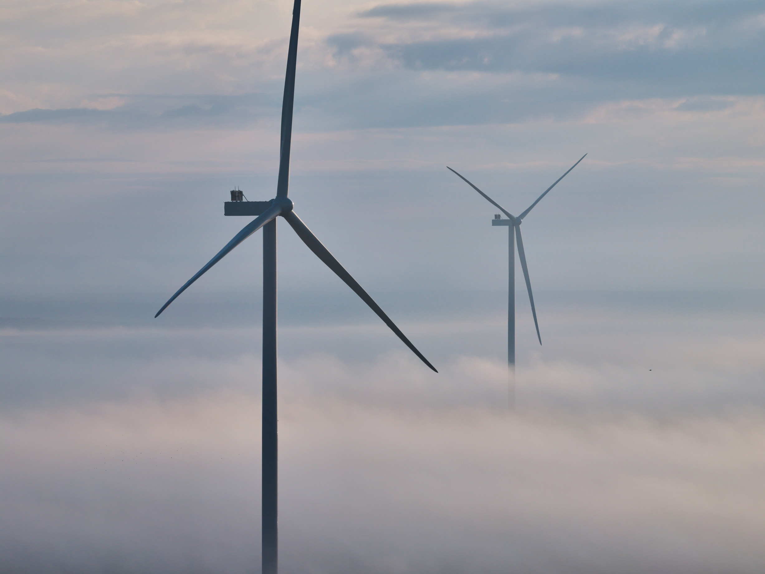 OX2 a ajuns la un portofoliu de peste 1,5 GW de energie regenerabilă în România, după cinci ani de activitate