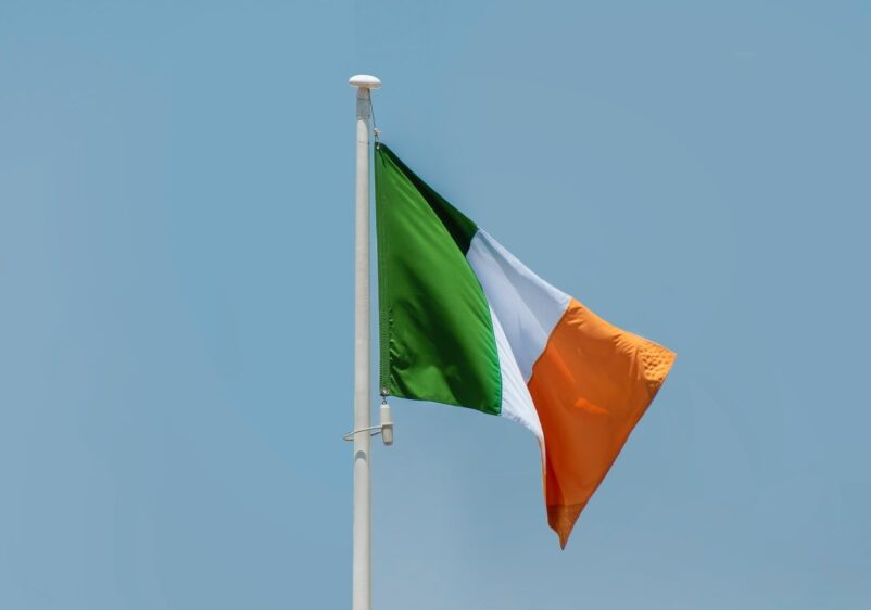 Irlanda a expulzat 24 de români condamnați pentru infracțiuni grave