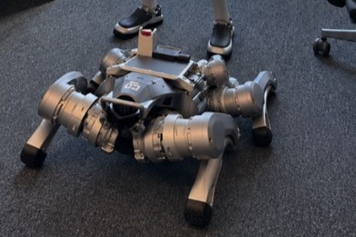 Premieră pe piața asigurărilor din România: Asirom și Safety Broker au asigurat un robot umanoid și un câine-robot