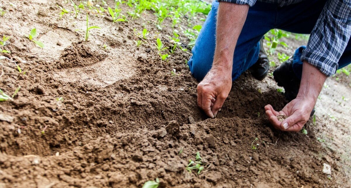 Tánczos Barna, despre rectificare: Zero lei pentru sprijinul urgent de care au nevoie fermierii / Susține că agricultura a pierdut 400 de milioane de lei la rectificare